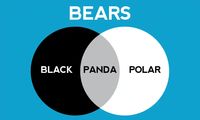 Can you solve it? The enduring appeal of Venn diagrams | Science | The Guardian