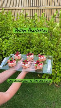 Petites Charlottes in 2022 | Desserts, Petite, Charlotte