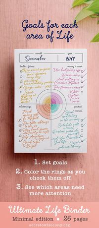 A few years ago, I discovered that I had lived the same year twice and that it was a mediocre year. The Life Binder system that you see here grew out of my desire to take 100% responsibility for my life and have my dreams and projects and progress all in one physical place. This tool