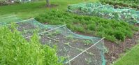 How to Start a New Garden Bed: Removing Grass for a Garden | The Old Farmer's Almanac