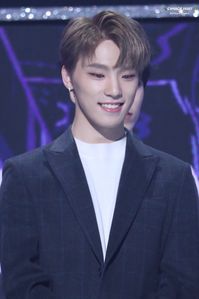 190123 Gaon Chart Music Awards #chan #leechan #dino #세븐틴 #seventeen