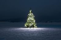 Christmas Scenes Images & Christmas Scenes Wallpaper #christmassceneswallpaper #christmasscenesimages #beautifulchristmasscenes #christmasscenes #christmassnowscenes #christmaswinterscenes #christmastreescenes #christmaswallpaperscenes #christmasscenesphotos #christmasscenesclipart