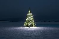 Christmas Scenes Images & Christmas Scenes Wallpaper  #christmassceneswallpaper #christmasscenesimages #beautifulchristmasscenes #christmasscenes #christmassnowscenes #christmaswinterscenes #christmastreescenes #christmaswallpaperscenes #christmasscenesphotos #christmasscenesclipart