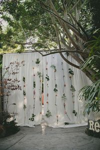 Botanical backdrop