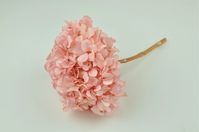 100% Natural, preserved Hydrangea that last 5-10 years. Hydrangeas' big flower heads effortlessly attract attention wherever they're used. As a focal point in your decor, in a vase, and in wedding bouquets, hydrangeas are some of the showiest blooms out there. Fresh flowers in your home everyday? Yes, exactly! While