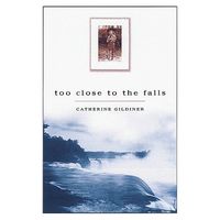 Too Close to the Falls - Google Search
