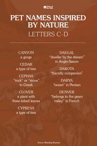 Are you bringing home a new pet? If you’re trying to think of a dog or cat name that will fit their adventurous spirit, consider one of these nine pet names that are inspired by nature! #PetNames #DogNames #CatNames #NewPet