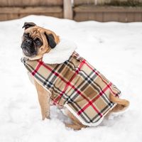 How to Make a Waterproof Dog Coat