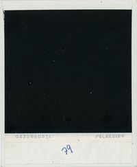 Jean-François Flamey / Nim Is A Tree. Pour la rubrique “La vie domestique” de la plateforme belge “BrowniE”, je vous raconte l'histoire de ce Polaroid de 1979 trouvé sur une brocante