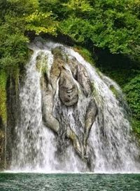 Spirit Falls, Oregon... ❤ Spirit falls is a gorgeous 40 feet channeled waterfall, flowing over moss covered rock on Alex Creek near Cottage Grove, Oregon. Originally named Andrea Falls, was discovered in 1978... Google+