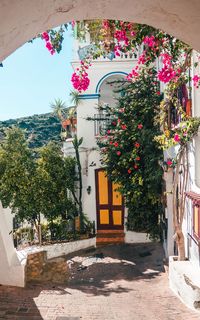 This is one of Andalucía's most beautiful white villages. Discover why you should add this charming and Instagrammable village to your Spain bucket list. This is the best of Spain aesthetics. Spain travel guide.