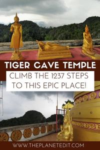Tiger Cave Temple, also known as Wat Tham Suea, is a Buddhist temple located just northeast of Krabi Town in Thailand. It’s actually one of the most sacred temples in Krabi Province – likely due to the legend that tigers used to roam the area and rest in the caves here. #tigercavetemple #tigercave #thailand #southeastasia #asia | Hiking to Tiger Cave Temple | Explore Thailand | Places to See in Thailand | Thailand Travel