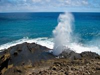 Nestled along Oahu’s southeastern shore between the striking Lanai Lookout and the legendary Sandy Beach Park, the Halona Blowhole is perhaps the most popular rock formation of its kind found in Hawaii.