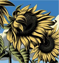 Sunflowers. Digital scratchboard illustration by ©Gary Alphonso. Represented by i2iart.com #i2iart