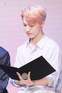 180805 Seventeen Specia GV "Oh My Day" #세븐틴 #seventeen #chan #leechan #dino