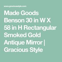 Made Goods Benson 30 in W X 58 in H Rectangular Smoked Gold Antique Mirror | Gracious Style