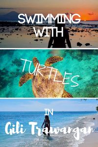 Gili Trawangan, in Indonesia, is the ultimate chill island vibes destination. We spent three days exploring and cycling around this beautiful pedestrian island, and snorkelling with turtles just off the coast from our hotel! Come discover more about this paradise!