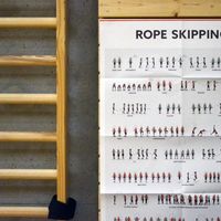 Endlich ein übersichtliches Rope Skipping Poster für dein Unterricht ! #sportunterricht #sportlehrer #sportlehrerin