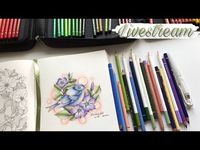 (2854) THE FLOWER YEAR: Coloring the wren & periwinkles - YouTube