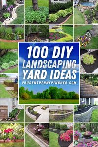 Improve your curb appeal on a budget with these DIY landscaping ideas. There are design ideas for front and backyard landscaping, which includes small yard landscaping ideas. From DIY edging to low maintenance garden ideas, there are plenty of cheap and easy landscaping ideas to choose from. Whether you are looking for ideas for your slopes, driveways, walkways, or fence border, you will find plenty of garden design ideas for every spot in your yard.
