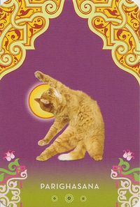 Cat Yoga:RESERVED by Jennifer @ Not Your Momma's Cookie, via Flickr