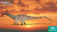 Walking with Dinosaurs: Brontosaurus by TrefRex on DeviantArt