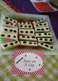 A new take on "Ants on a Log" cream cheese with raisins ~ kiddos allergic to peanut butter