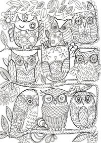 Fay Martin - Owls - Another Awesome pin repinned by http://detailedcoloringbooks.blogspot.co.uk/