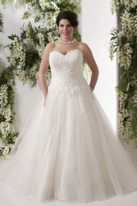 Amazing A-line Chapel Train Sweetheart Tulle Fabric Plus Size Wedding Dresses with Applqiues Style yp115091709