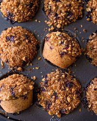 Best Vegan Blueberry Muffins - Rainbow Plant Life
