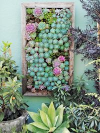Vertical Gardening Ideas - How To Make a Vertical Garden As long as you've got a blank wall or bare fence that needs beautifying, you can tend edibles, annuals, even perennials with these vertical gardening ideas — all of which inspire high hopes for the season ahead.
