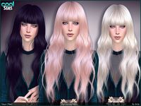 Anto - Dawn (Hair)