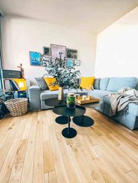 Transformation et aménagement de ce Salon cosy et chaleureux. Idée de décoration appartement de 30m2. De la conception aux travaux de ce petit appartement / studio en région parisienne. Mix carrelage et parquet, canapé d'angle convertible, tables basses gigogne. Decoration, 2019, 2020, paris, Leroy Merlin, construction, inspiration, mosaïque, carrelage hexagonal, K, bois, architecte, chantier, renovation, coin salon, coup de coeur, la redoute, fonctionnelle, optimisé, chêne, or, doré, plante