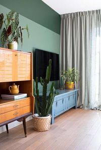 vasos com plantas para decoração de sala verde com móveis retrô#decoraçãocomplantas #decoraçãocomplantassala #decoraçãocomplantasemapartamento