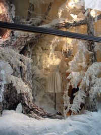 Holiday Windows