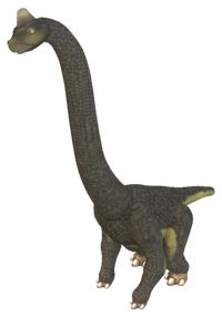 Brachiosaurus