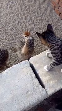 Revenge never comes too late