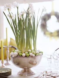 paperwhites + ornaments