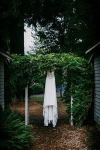 Lake Crescent Lodge wedding in Olympic National Park.