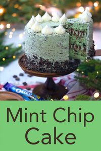You will fall in love with this delicious, moist mint chocolate chip cake from Preppy Kitchen. It’s wrapped in a divine minty buttercream chock full of dark chocolate chunks with a two tone frosting inside! #mintchipcake #bestcakes #bestmintchipcake
