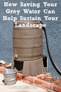 Using Grey Water to Sustain Your Landscape - Having lived in California my whole life, I've learned the words "water conservation" and "drought" many times here…