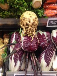 Chtulhu vegano.