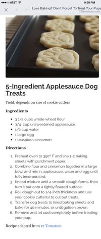 Applesauce dog treats