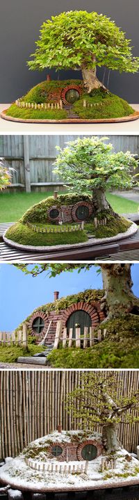 A Hobbit home with bonsai with look so cute in the garden or on the patio. Shoot, I would have it inside my house!