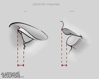 important overhangs of face ✤ || CHARACTER DESIGN REFERENCES | キャラクターデザイン • Find more at https://www.facebook.com/CharacterDesignReferences if you're looking for: #lineart #art #character #design #illustration #expressions #best #animation #drawing #archive #library #reference #anatomy #traditional #sketch #development #artist #pose #settei #gestures #how #to #tutorial #comics #conceptart #modelsheet #cartoon || ✤