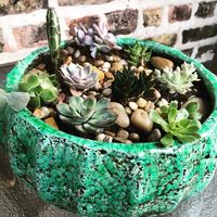And how gorgeous is this pot? Thank you, @anthropologie! #wcdfhome #terrarium #mywestelm #homedecor #anthropologie #succulents