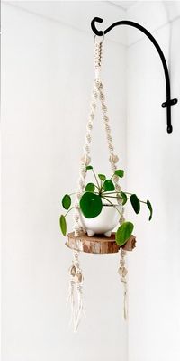 Macramê com vaso de planta