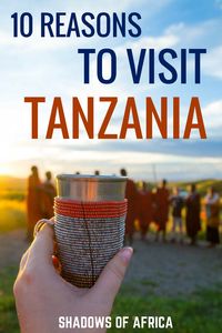 There are so many incredible things to do in Tanzania! From a Serengeti safari to climbing Mt. Kilimanjaro. Here's why you should visit Tanzania! #travel #Tanzania #Africa #safari