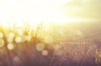 What is Light? The Fascinating Science Behind How Light Works | Del Mar Fans & Lighting