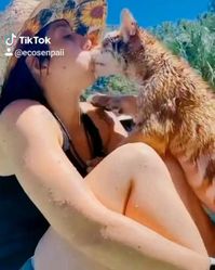 🐯Playing with my kids🐯 Follow @ecosenpai❗ because you want more👍🙌😍 . 😅The best video about animals! funny animal videos | funny animal videos can't stop laughing hilarious | cute animal videos | funniest animal videos | baby animals videos | wild animal videos | pet videos | funny cat and dog videos | animal videos funny dogs | videos animales | animals beautiful videos | animals aesthetic videos | animals friendship videos. #cuteanimals #animalsvideo #animalsdoingnothing #funnyanimals #an